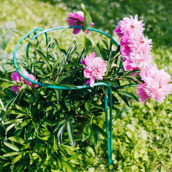 Опора для растений Sima-Land Кустодержатель 4181507