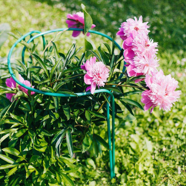 Опора для растений Sima-Land Кустодержатель 4181506