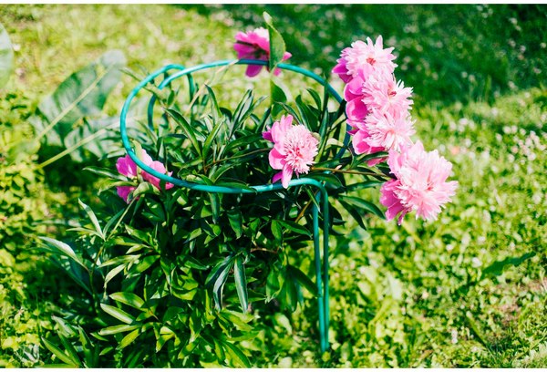 Опора для растений Sima-Land Кустодержатель 4717931