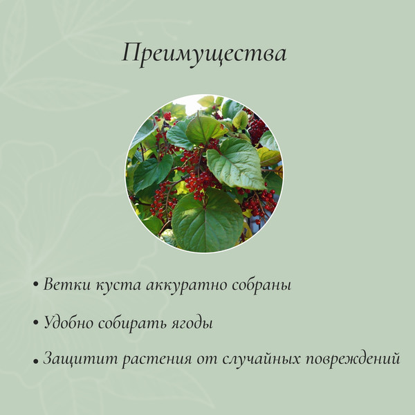 Опора для растений Sima-Land Кустодержатель 4191903