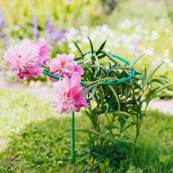 Опора для растений Sima-Land Кустодержатель 2083017