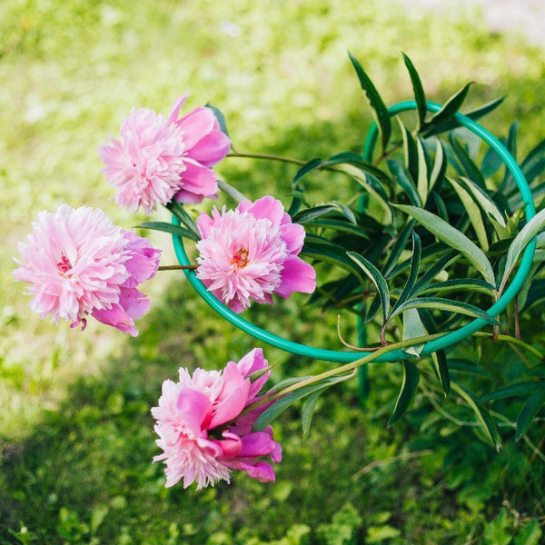 Опора для растений Sima-Land Кустодержатель 2083017