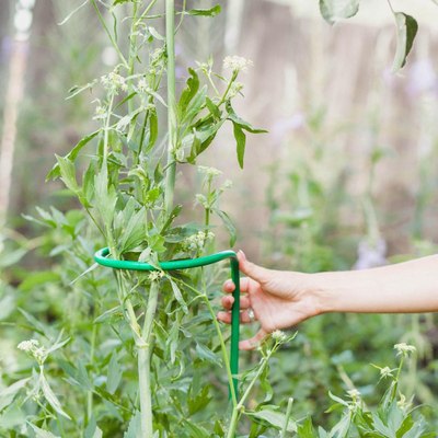 Опора для растений Sima-Land Кустодержатель 2083018