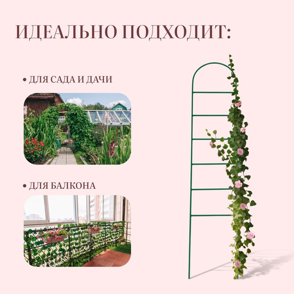 Шпалера Sima-Land Лестница 5135792