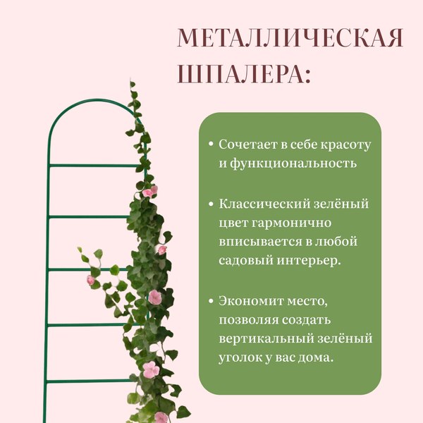 Шпалера Sima-Land Лестница 5135792