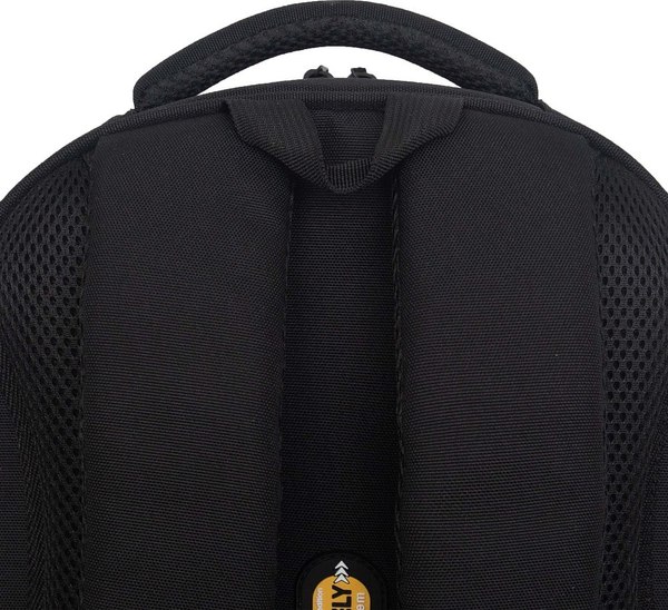 Школьный рюкзак Grizzly RAz-587-15