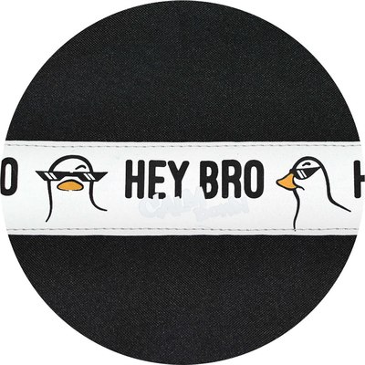 Мешок для обуви Феникс+ Крутой утенок / 69159