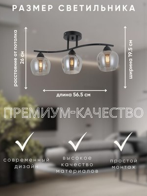 Люстра Aitin-Pro НПБ 02-3x60-101 / RH8324/3