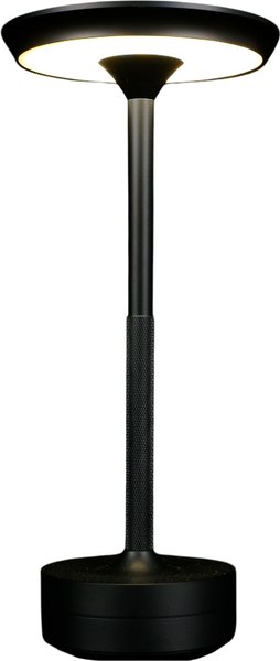 Прикроватная лампа Aployt APL.064.24.05 - фото