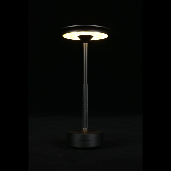 Прикроватная лампа Aployt APL.064.24.05