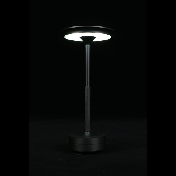 Прикроватная лампа Aployt APL.064.24.05