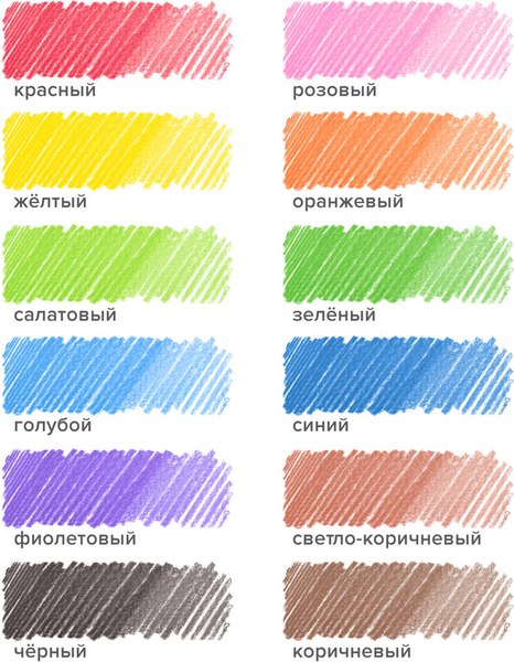 Набор цветных карандашей Пифагор Эко Классик / 182048