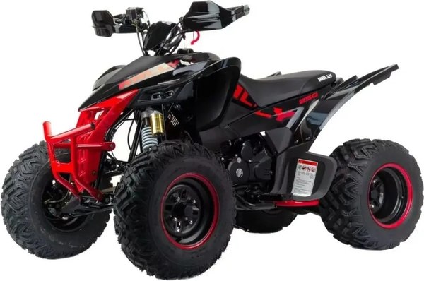 Квадроцикл Motoland Rally 250 / pm675977163 - фото