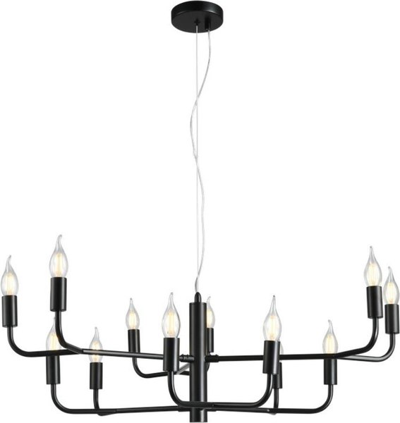 Люстра Aployt APL.338.13.12 - фото