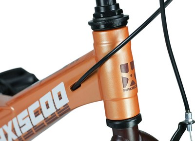 Детский велосипед Maxiscoo Space Стандарт 18 2025 / MSC-S1844