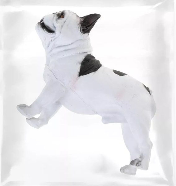 Фигурка игровая Наша игрушка Собака / 200722177