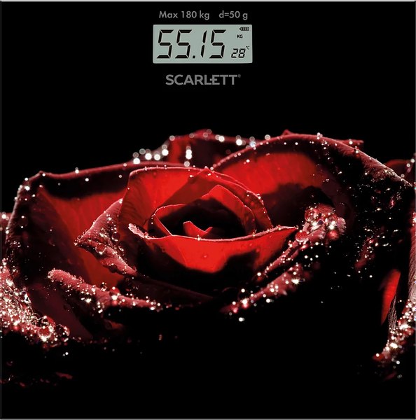 Напольные весы электронные Scarlett SC-BS33E028 - фото