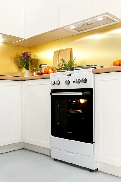 Плита газовая Darina PL GM241 008 1W