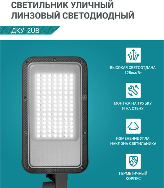 Светильник уличный Neox ДКУ-2UB / 4690612057415