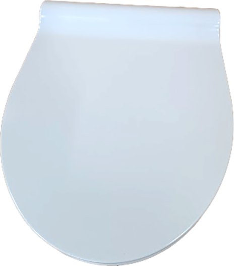 Сиденье для унитаза WeltWasser WW Salzbach 001 XL GL-WT - фото