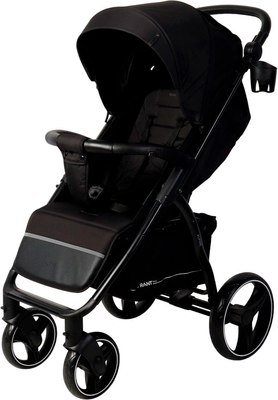 Детская прогулочная коляска Rant Alpine 2025 / RA450 - фото