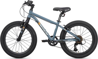 Детский велосипед Maxiscoo 3bike 20 M 2025 / MSC-M3-2001