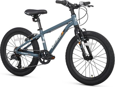 Детский велосипед Maxiscoo 3bike 20 M 2025 / MSC-M3-2001