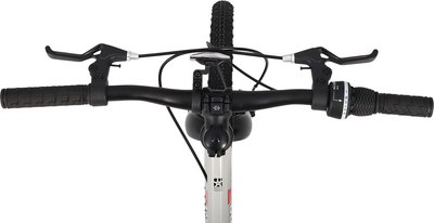 Детский велосипед Maxiscoo 3bike 20 L 2025 / MSC-M3-2003