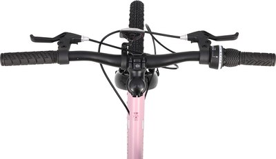 Детский велосипед Maxiscoo 3bike 20 L 2025 / MSC-M3-2004