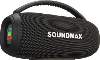 Портативная колонка SoundMax SM-PS5031B - фото