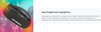 Портативная колонка SoundMax SM-PS5031B