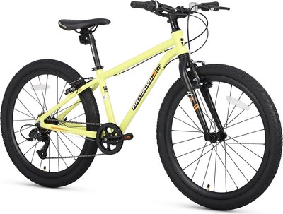 Велосипед Maxiscoo 3bike 24 M 2025 / MSC-M3-2402