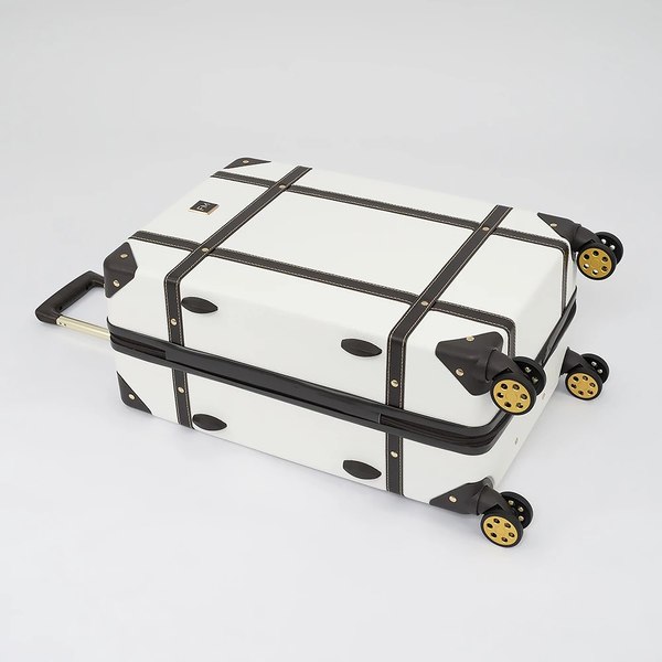 Чемодан на колесах Francesco Molinary 336-0193/2-24BEG