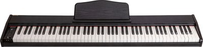 Цифровое фортепиано Aiwa ASZ-88B - фото