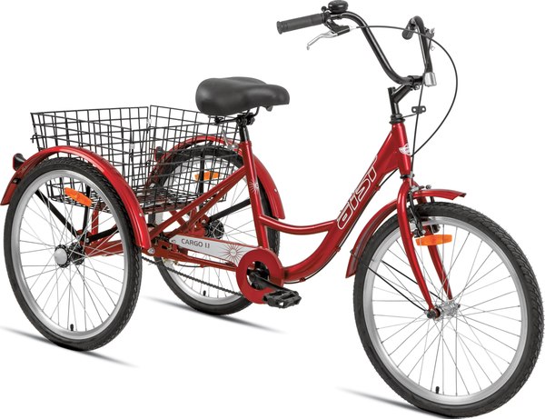 Велосипед AIST Cargo 1.1 24 2025 - фото