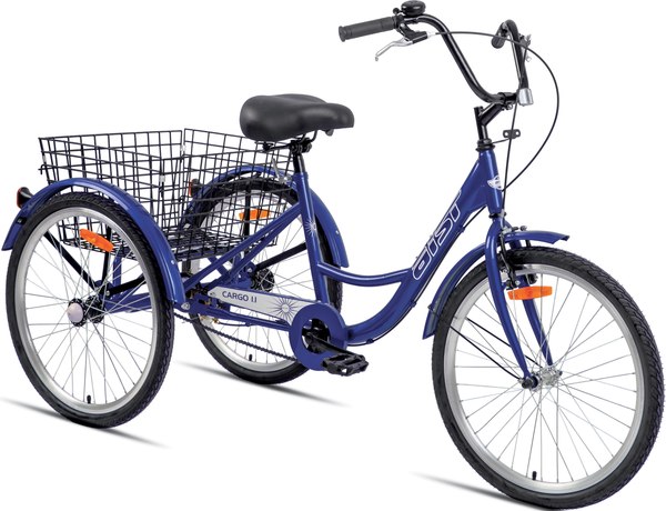 Велосипед AIST Cargo 1.1 24 2025 - фото