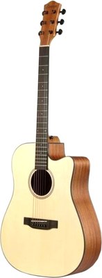 Акустическая гитара Donner DAG-1C / EC984 - фото