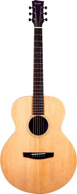 Электроакустическая гитара Enya EA-X1 Pro/SP1.EQ - фото