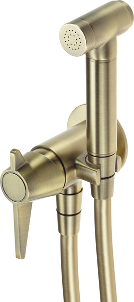 Гигиенический душ со смесителем Deante Temisto BQT M34M - фото