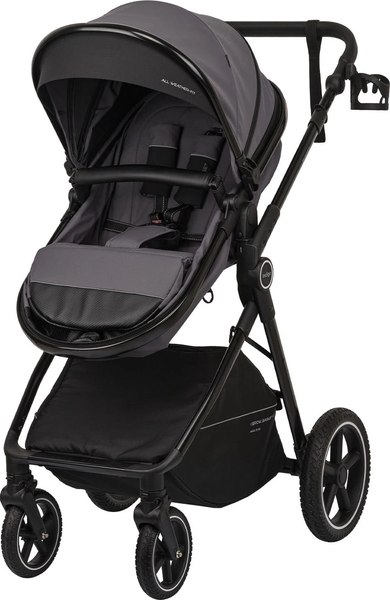 Детская универсальная коляска INDIGO Target