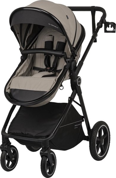 Детская универсальная коляска INDIGO Target 3в1