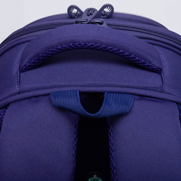 Школьный рюкзак Grizzly RAz-586-4