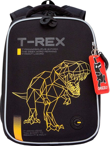 Школьный рюкзак Grizzly RAw-595-1 - фото