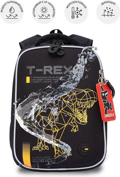 Школьный рюкзак Grizzly RAw-595-1