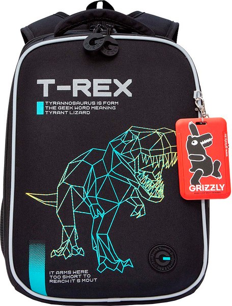 Школьный рюкзак Grizzly RAw-595-1 - фото