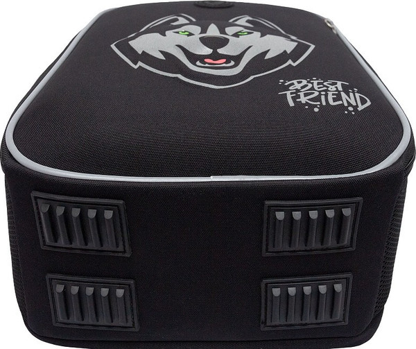 Школьный рюкзак Grizzly RAw-595-10