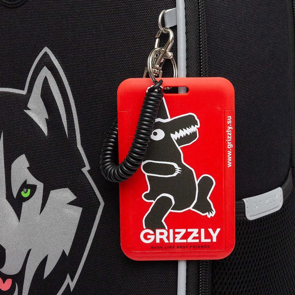 Школьный рюкзак Grizzly RAw-595-10
