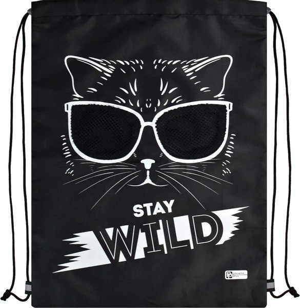 Мешок для обуви Феникс+ Стильная киса / 62647