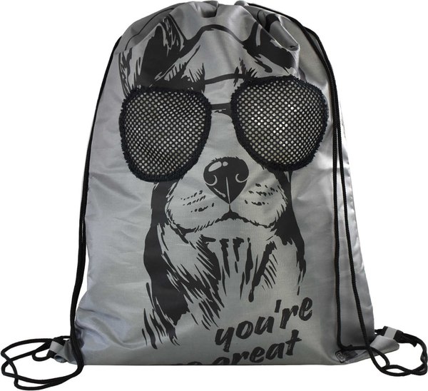 Мешок для обуви Феникс+ Собака в очках / 62648 - фото