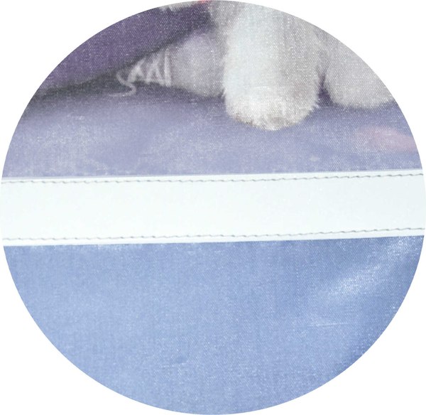 Мешок для обуви Феникс+ Блондинка с собачкой / 69192